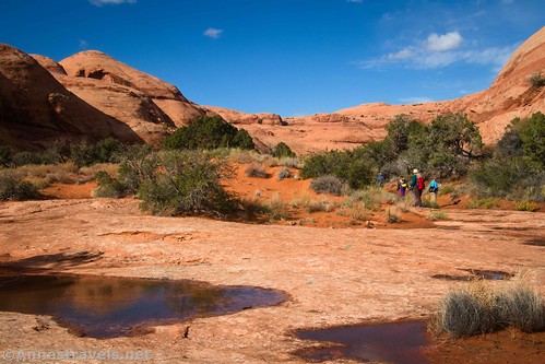 Puddles in the canyon near Longbow Arch near Moab, Utah