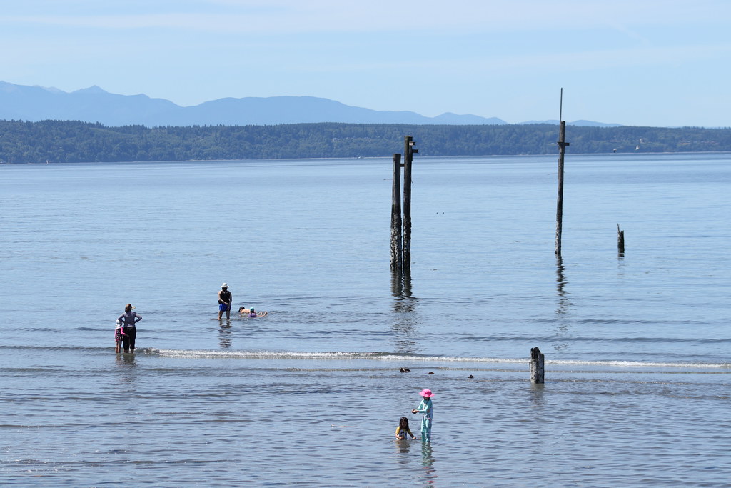 Edmonds Tide Low Tide at Edmonds Beach 2023 | People have been noticing t… | Flickr