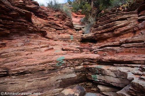 Green blazes leading you up to the top of the watercourse en route to Longbow Arch near Moab, Utah