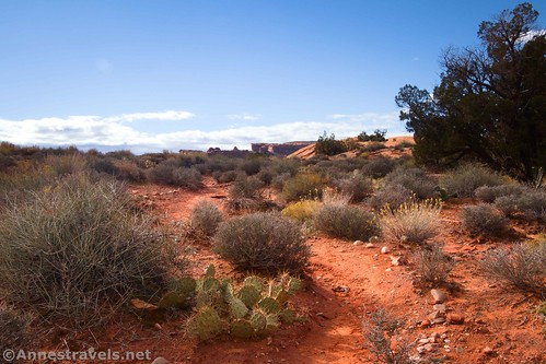 The trail winding above the Poison Spider Road en route to Longbow Arch near Moab, Utah