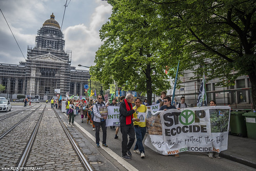 Stop ecocide