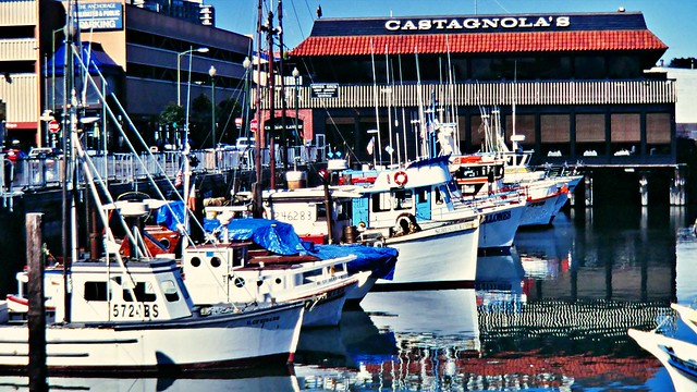 Castagnola's im Hafen von San Francisco 1994