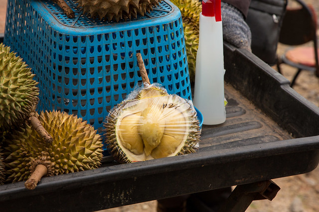 Durian, King of Fruit _8857