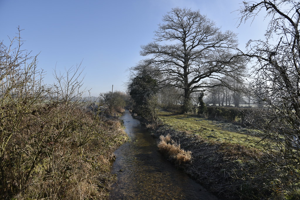 Winter walk along the river Pang, Bucklebury, Berkshire.