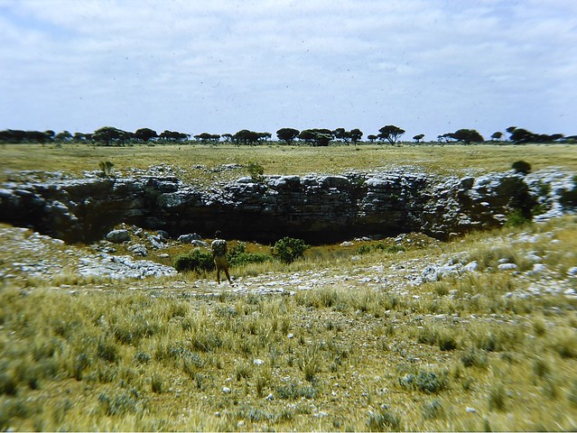 A shot by Dick of a Nullarbor doline