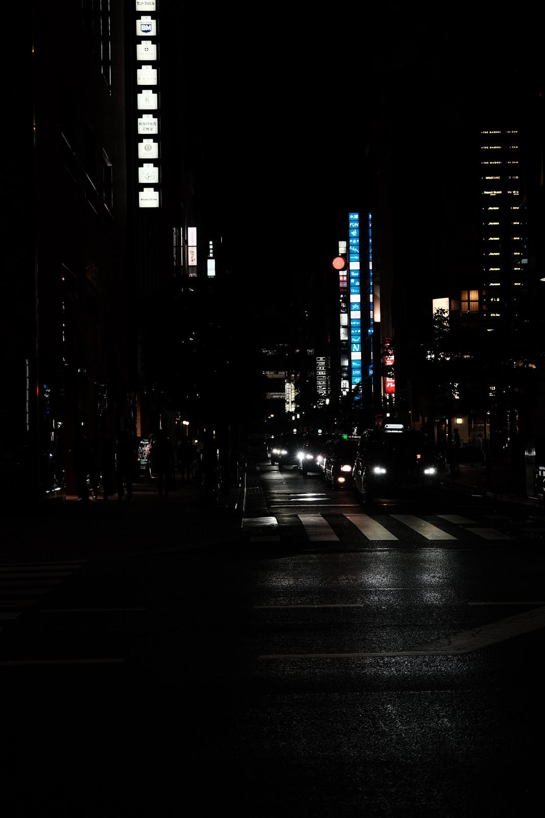 Tokyo Ginza night 2023