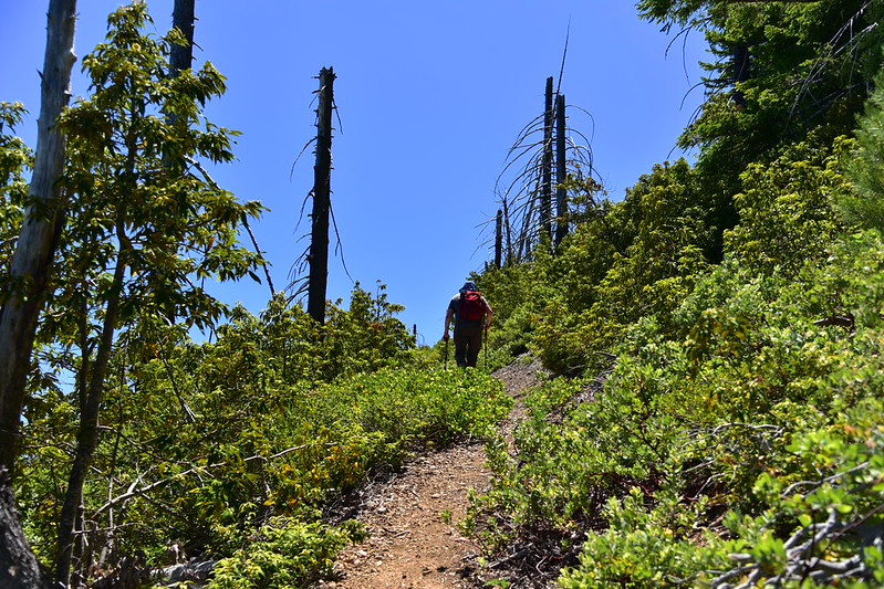 Mt. Bolivar Hike