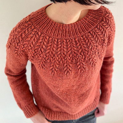 Su Yan (thedragonknitter) knit her version using a tweedy yarn.