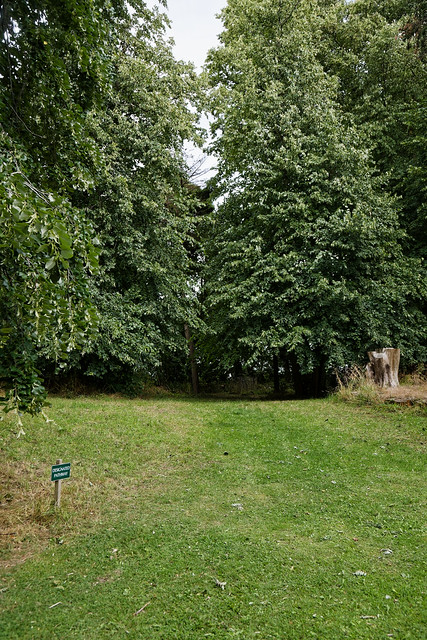 Woodland grass path in Easton Lodge Gardens, Little Easton, Essex, England 01