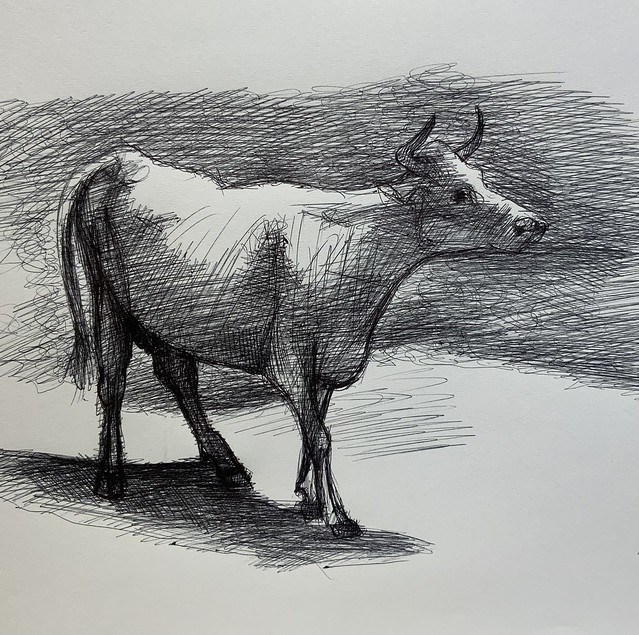 Study in Ballpoint pen by jmsw on sketch book paper.   My sketch of a cow from a Victorian painting .