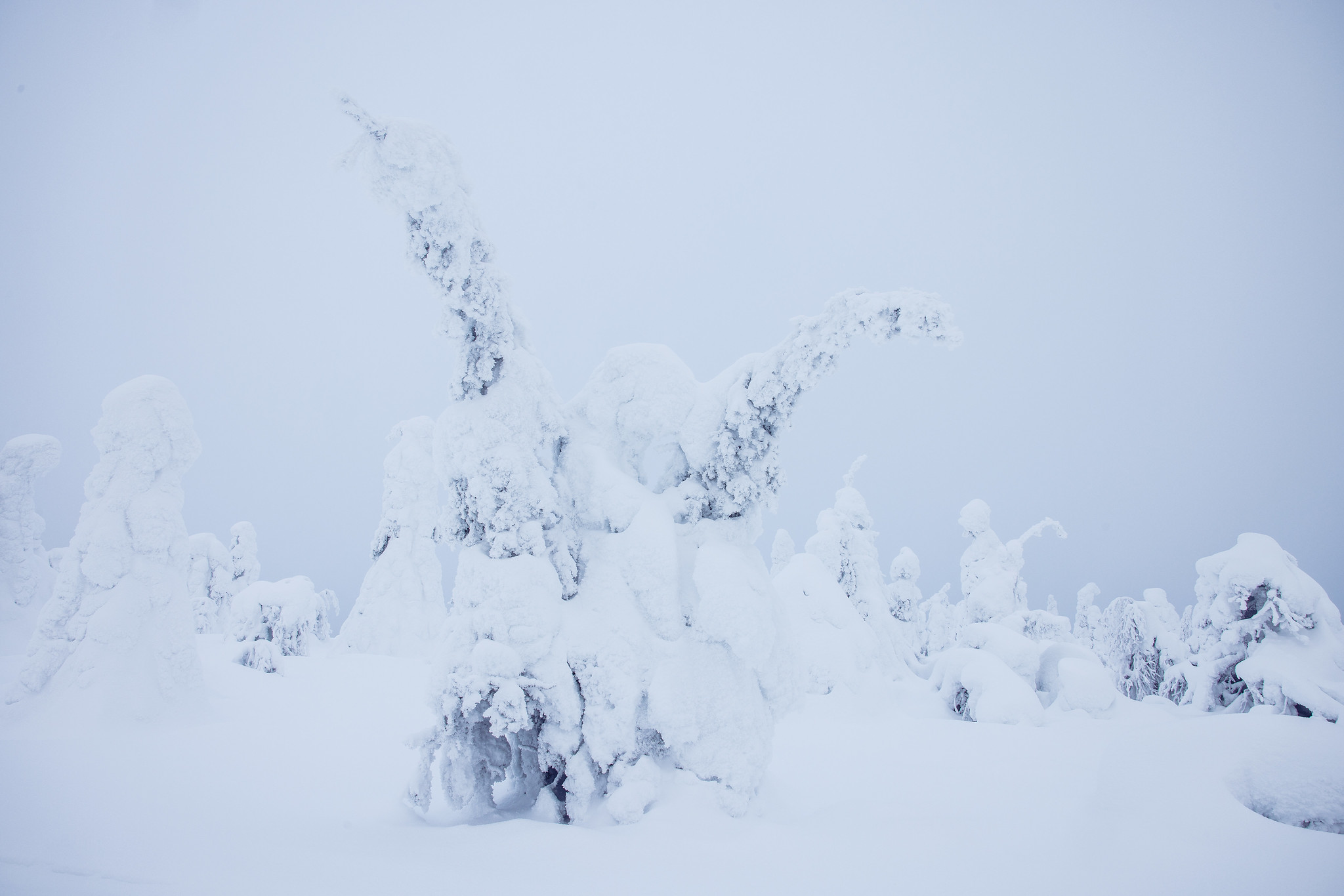 Kuntivaara - Kuusamo in winter