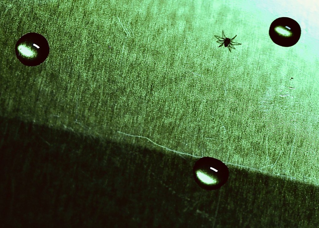 Three Droplets and something else