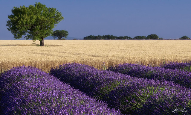 Décor de Provence