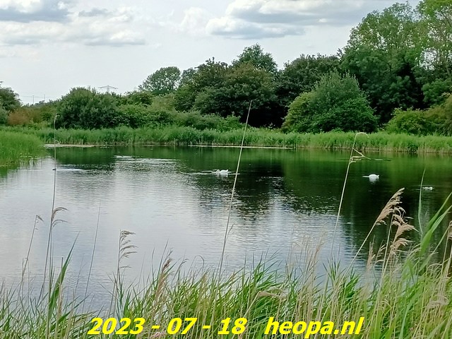 2023-07-18 Almere - Kromslootpark  (13)