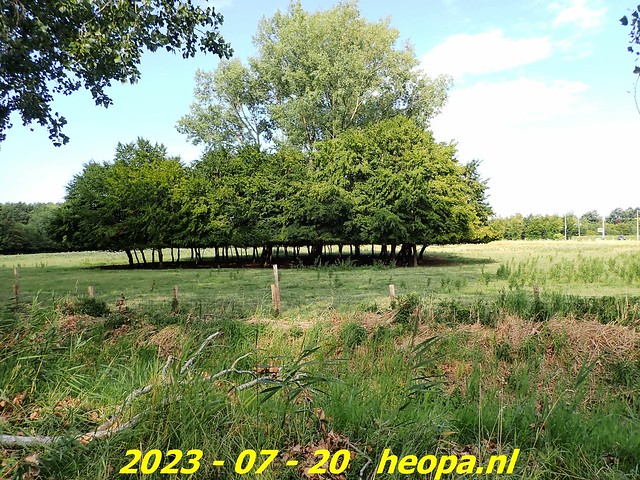 2023-07-20       Almere -  Wilgenbos (55)