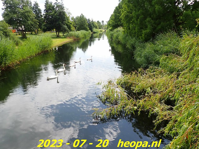 2023-07-20       Almere -  Wilgenbos (4)
