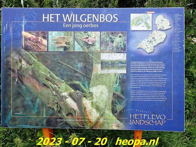 2023-07-20       Almere -  Wilgenbos (7)