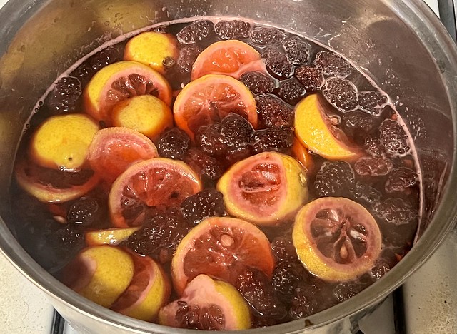 Making Blackberry and Lemon Simple Syrup for Cocktails (Explore)