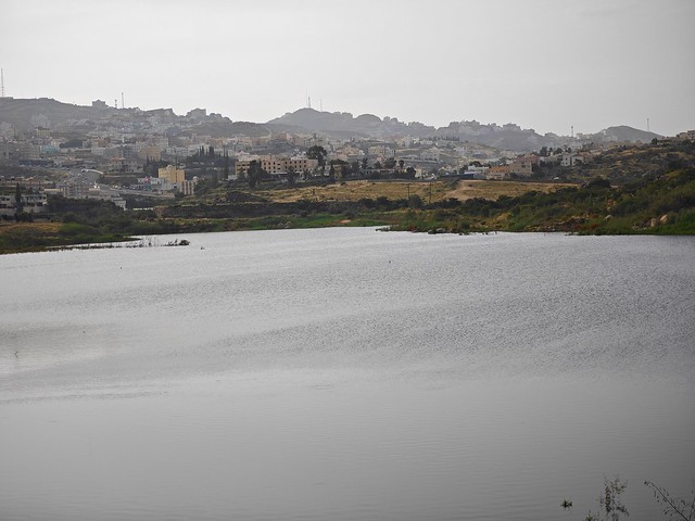 a close look of Abha Dam lake