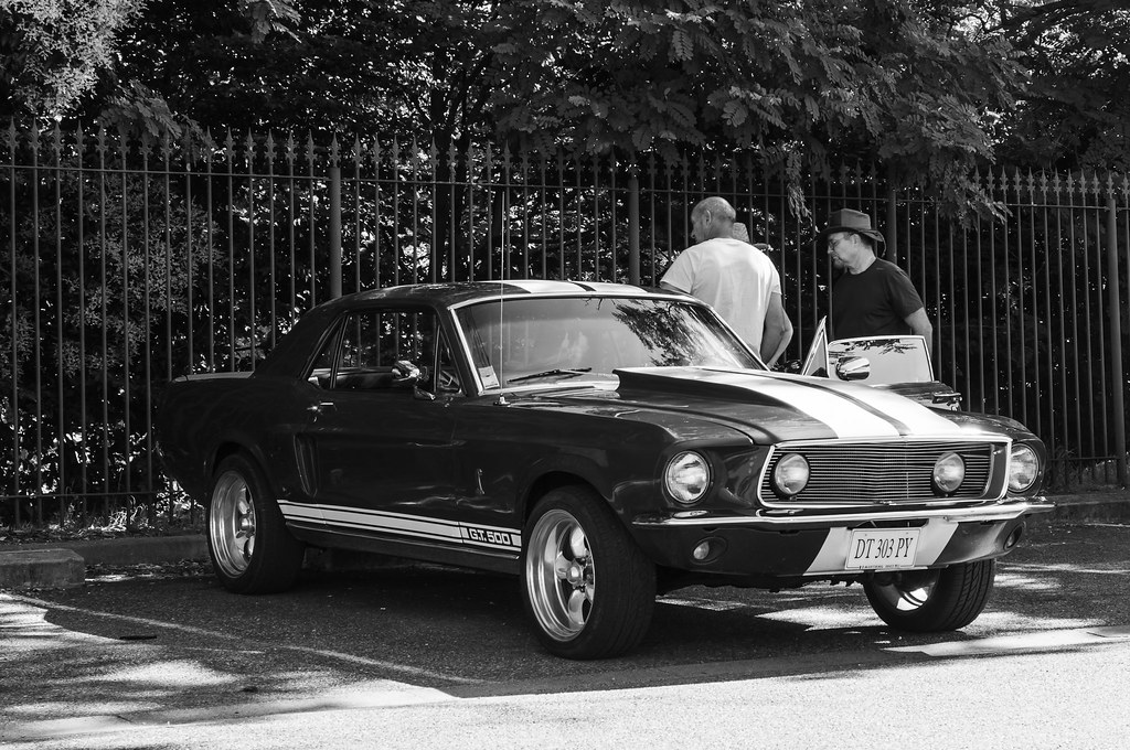 Mustang GT 500 1967 53064993656_a71efd75a9_b