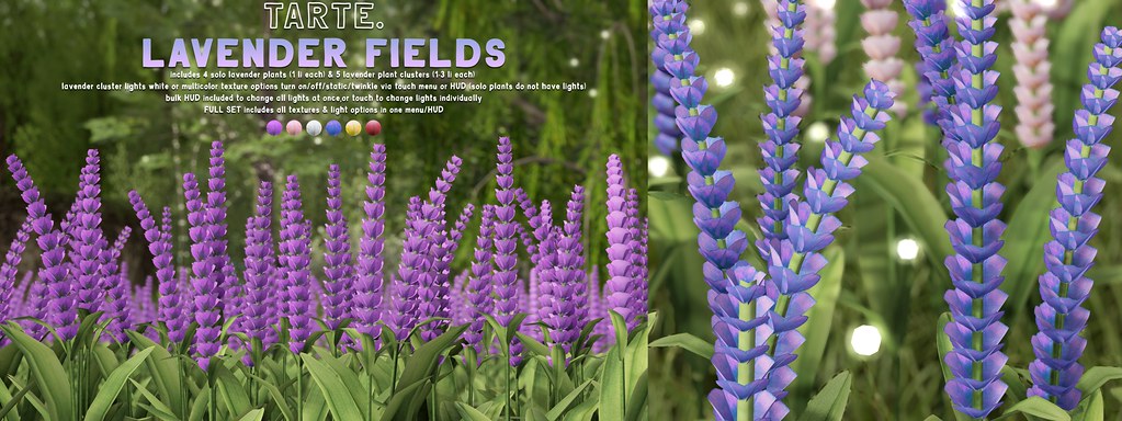 tarte. lavender fields @ kustom9