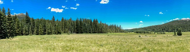Elk Meadow Panorama, Carson National Forest, New Mexico, USA-5878