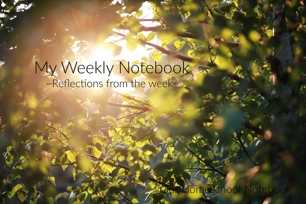 Weeklynotebookweek30