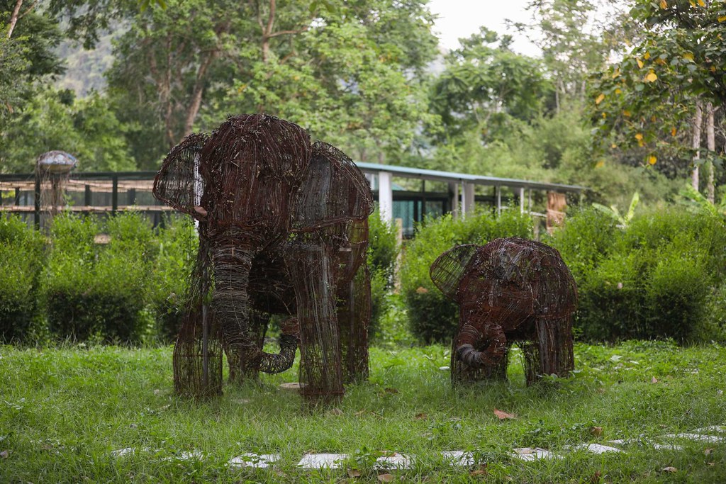 圖：越南浦末國家公園內的一個用羅網和其他野生動物狩獵工具製成的亞洲象群雕塑。據估計，該公園內生活著不到20頭野生象。圖片來源：安東·L·德爾加多