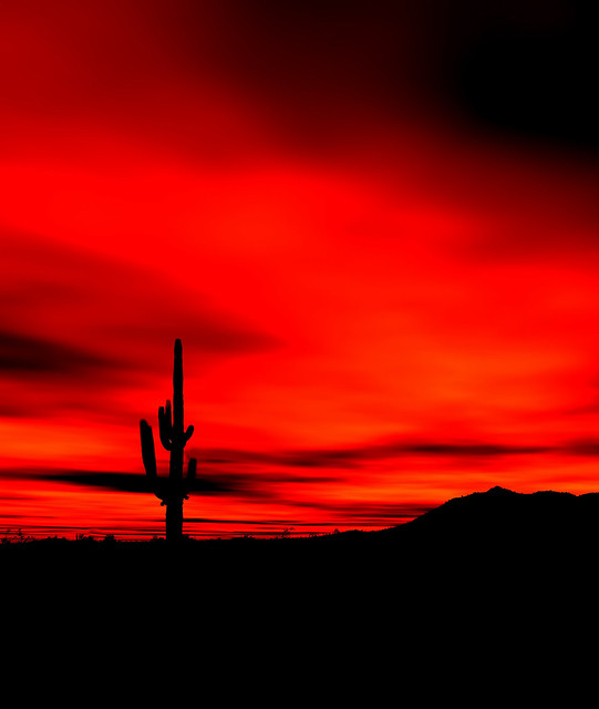 Sonora Desert Sunset Arizona