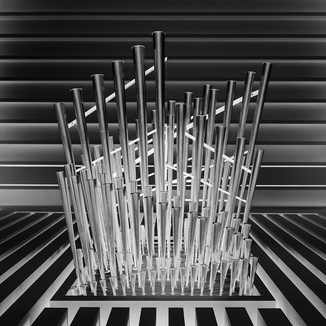 organ pipes (inverted)