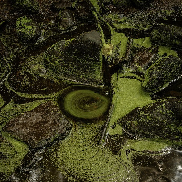 Alge whirlpool