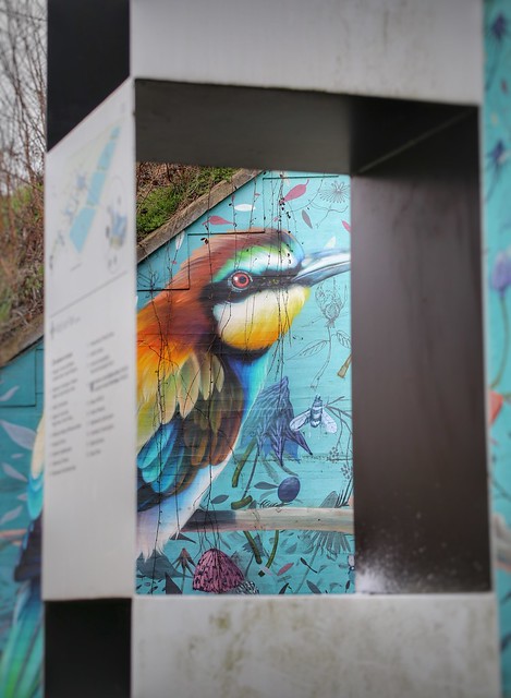 Birds mural created by artists Super A & Collin van der Sluys