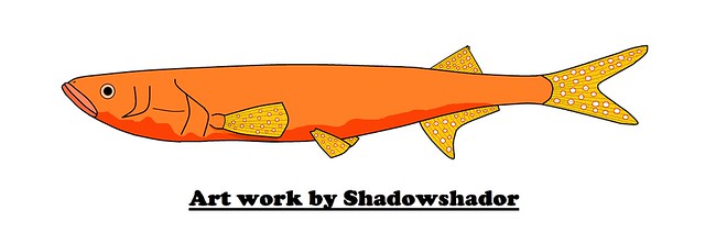 Extinct freshwater fish (†Wakinoichthys aokii)