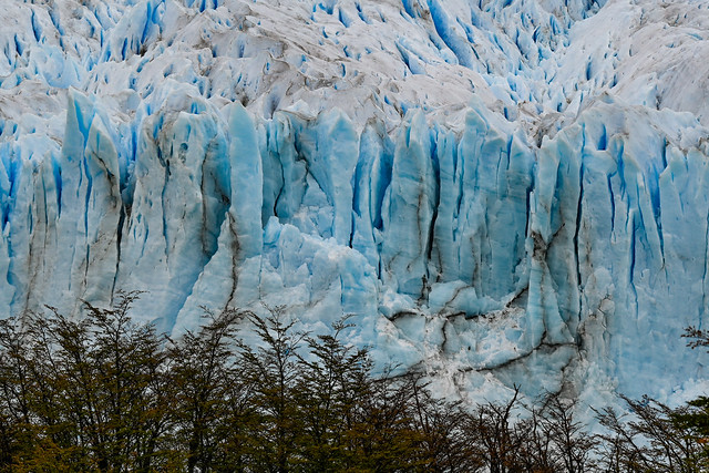 Perito Moreno. P.N. Los Glaciares