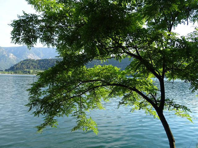 Het meer van Levico vanaf een mooi wandelpad.Lake Levico from a nice hiking trail. Lac Levico à partir d'un joli sentier de randonnée. Levico-See von einem schönen Wanderweg aus.