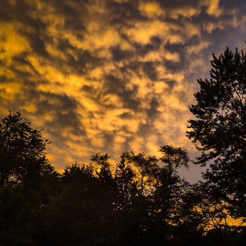 Good Morning!! by pixeling pixie, sunrise skies clouds nature trees