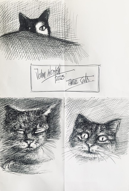 Ballpoint pen Cat sketches by jmsw on scrap piece of A4 paper.