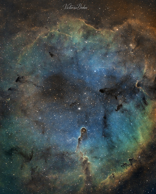 IC1396 : La nébuleuse de la Trompe d'Eléphant