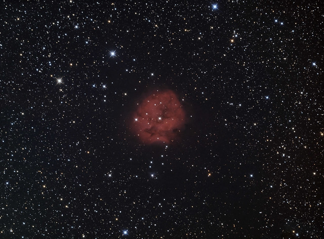IC5146 Cocoon nebula in LRGB + Ha