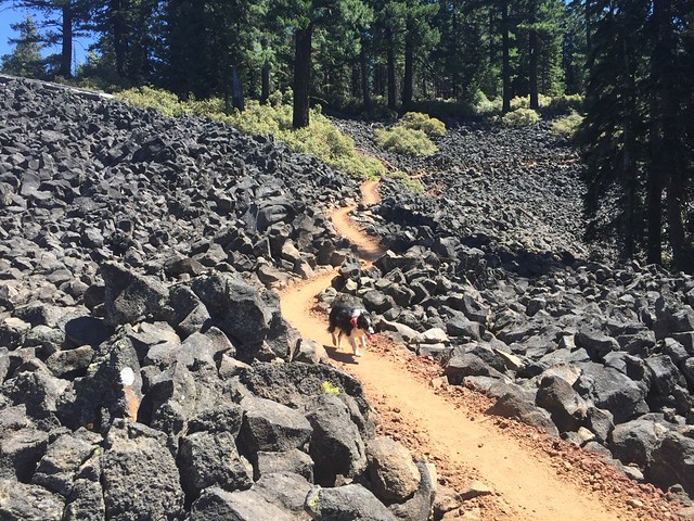 Joey on PCT - Brown Mountain Lava Flow