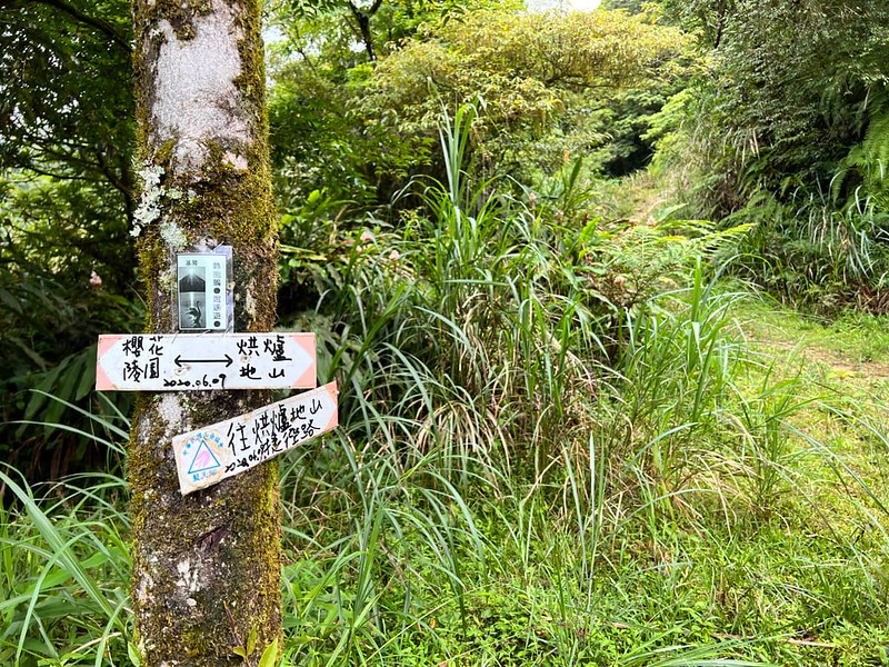 Mt. Hongludi Ridge Hike to St. Marian Hiking Trail