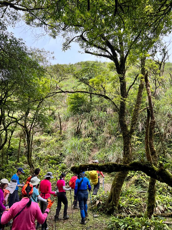 Mt. Hongludi Ridge Hike to St. Marian Hiking Trail