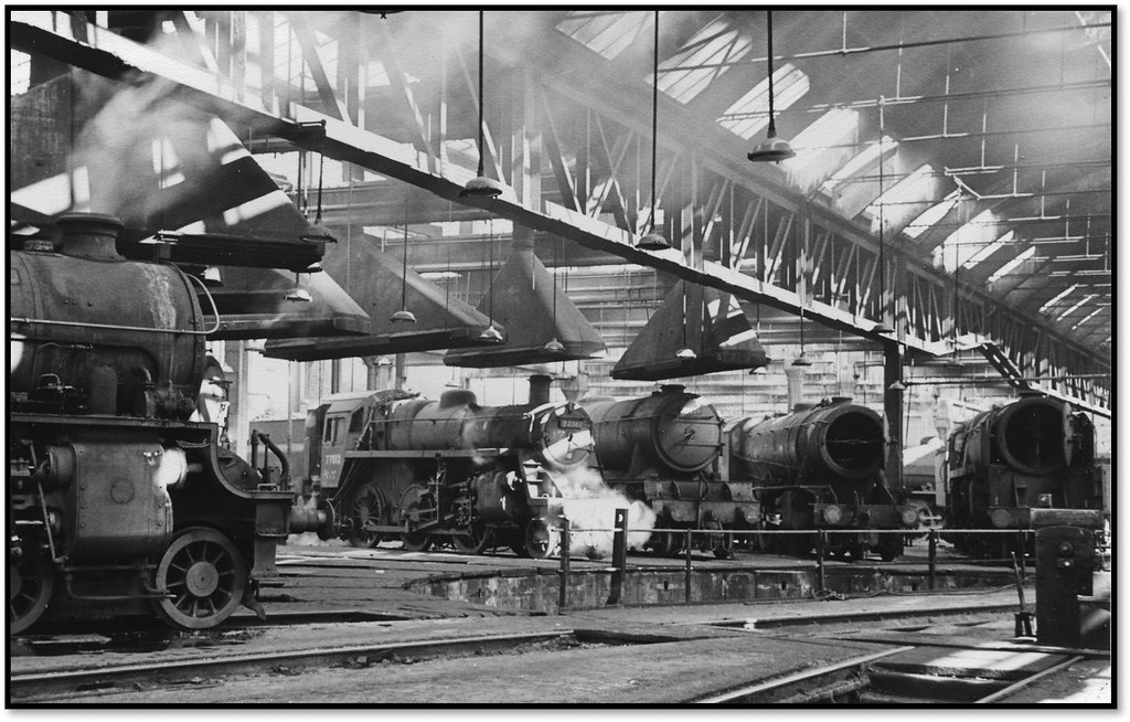 Variety of Steam Power in York Shed