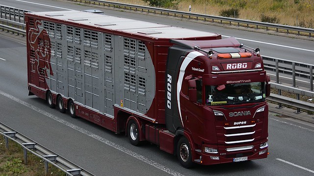 RO - Robo Livestock Scania NG S580