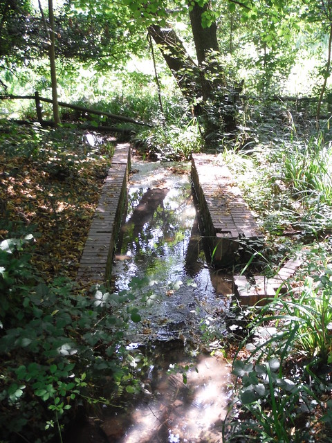 Silt Trap, Bentley Priory Nature Reserve SWC Short Walk 56 - Stanmore Circular