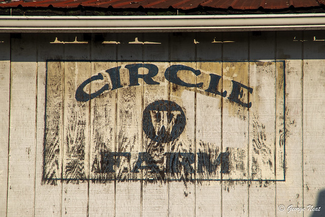 Cricle W Farm
