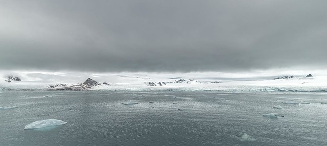 LILLIHÖÖKFJORDEN - Svalbard