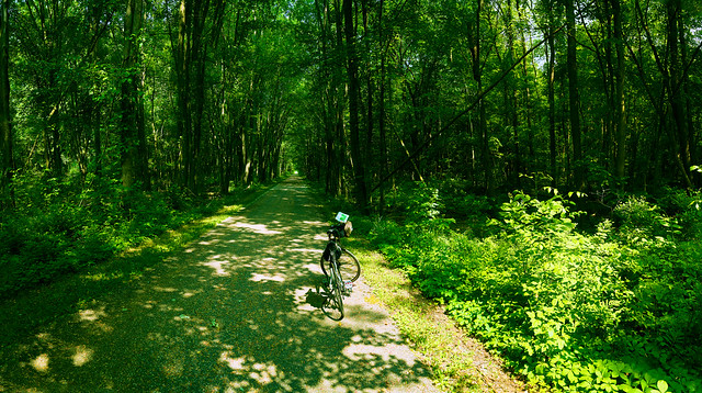 035123a- No Sunscreen Required On The Musketawa Bike Trail!