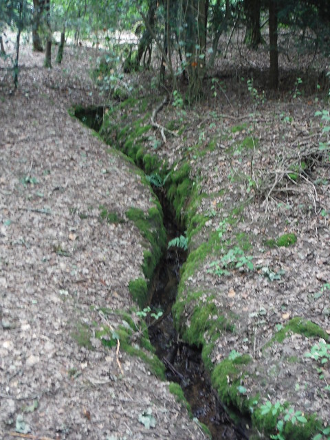 Deep moss-lined stream, Stanmore Common SWC Short Walk 56 - Stanmore Circular