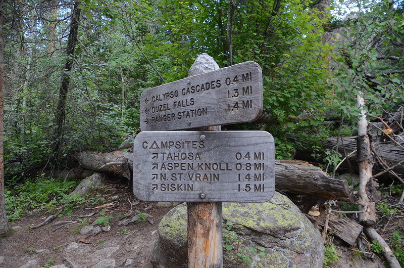 The Campsites spur trail, take a right here (2)